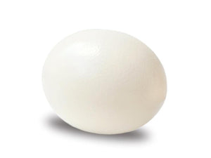 
                  
                    Load image into Gallery viewer, Fresh Ostrich Egg - Ostrich Meat - Karoo Ostrich Meat
                  
                